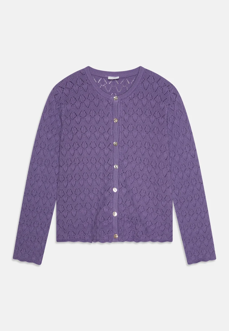 wide range Hust & Claire HCCILJA CARDIGAN - Cardigan purple Clothing Sweatshirts & Knitwear Cardigans