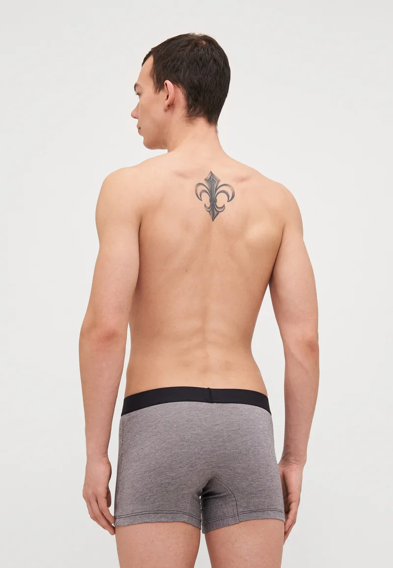 timeless Levi's® MEN OPTICAL ILLUSION BRIEF 2 PACK - Pants grey/black Clothing Sale Underwear & Socks Bathrobes Boxer briefs