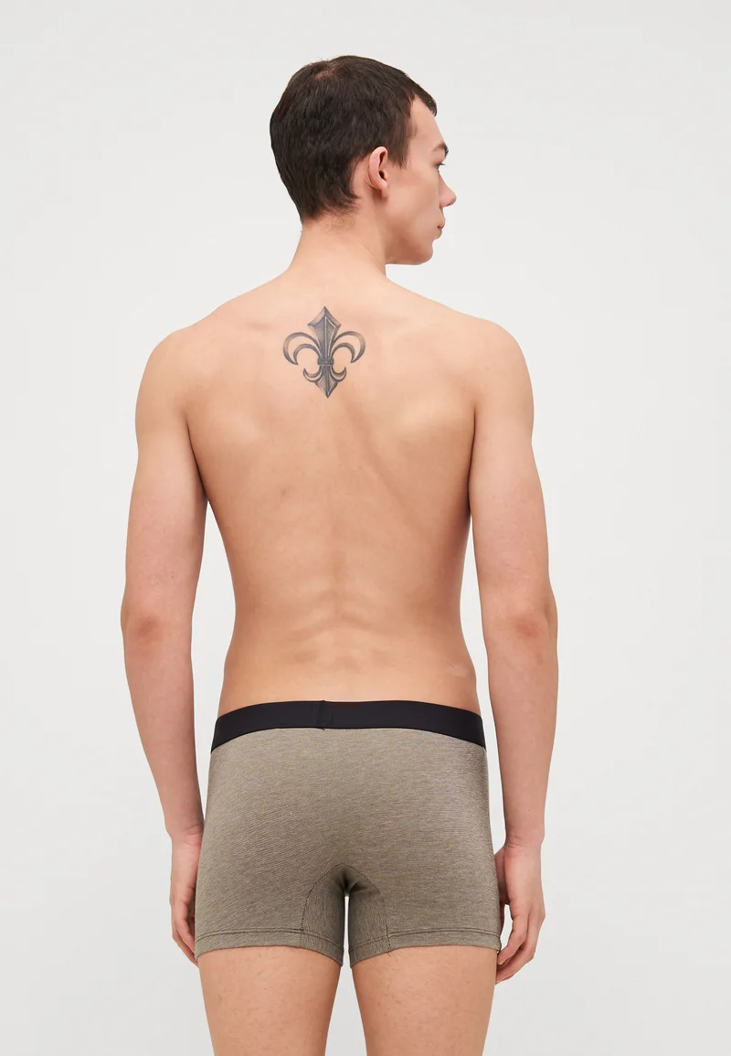 timeless Levi's® MEN OPTICAL ILLUSION BRIEF 2 PACK - Pants khaki Clothing Underwear & Socks Underpants Boxer shorts