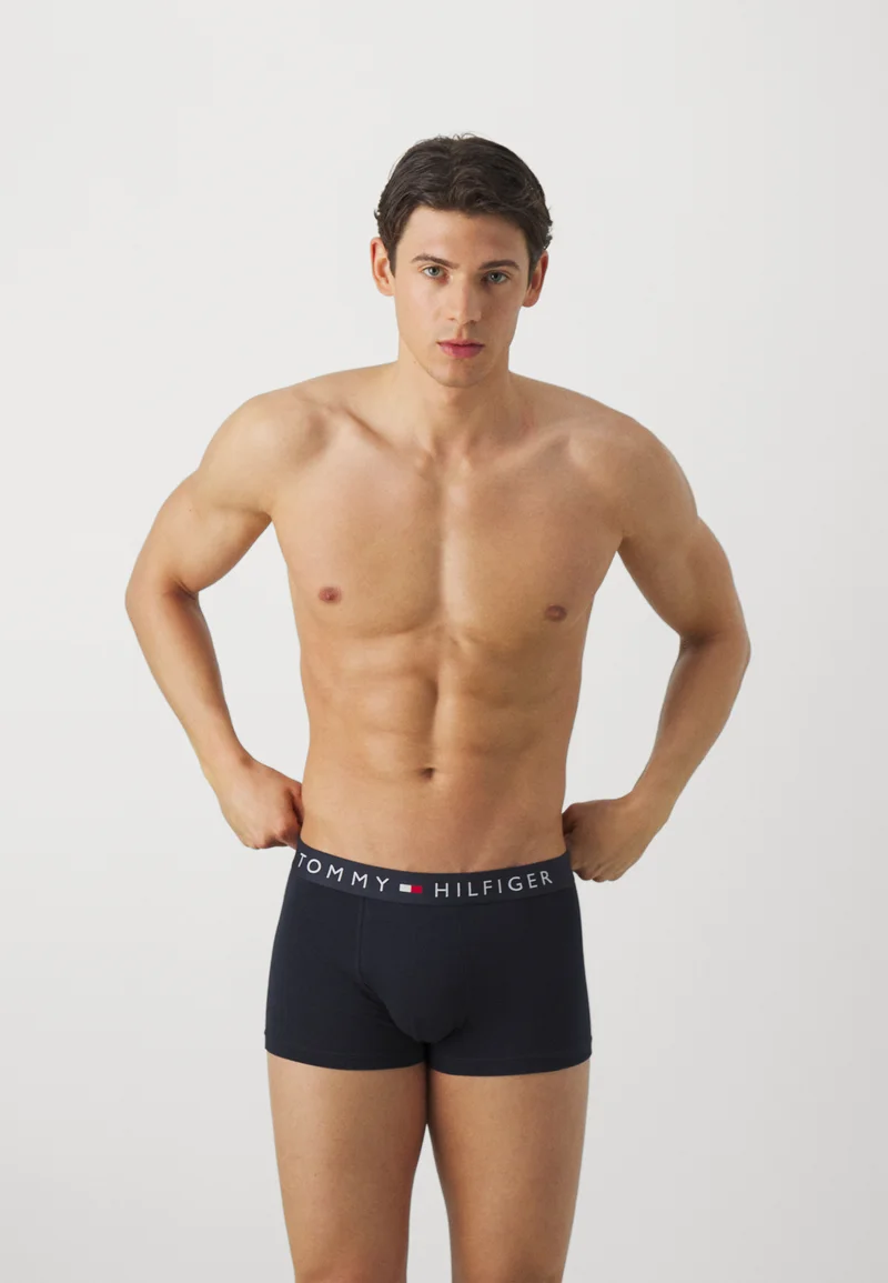 incredible prices Tommy Hilfiger TRUNK 3 PACK - Pants desert sky/grey Clothing Underwear & Socks Underpants Boxer shorts